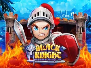 Black Knight screenshot
